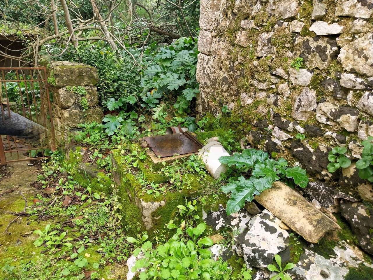 immagine annuncio 9 di 11