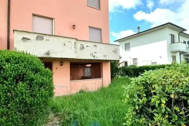 insertion image