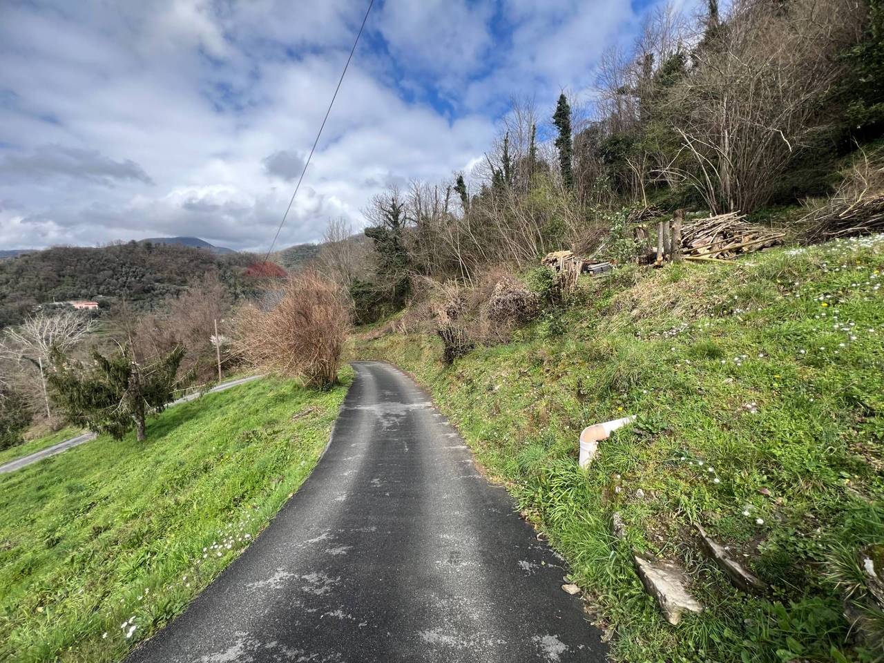 immagine annuncio 2 di 7