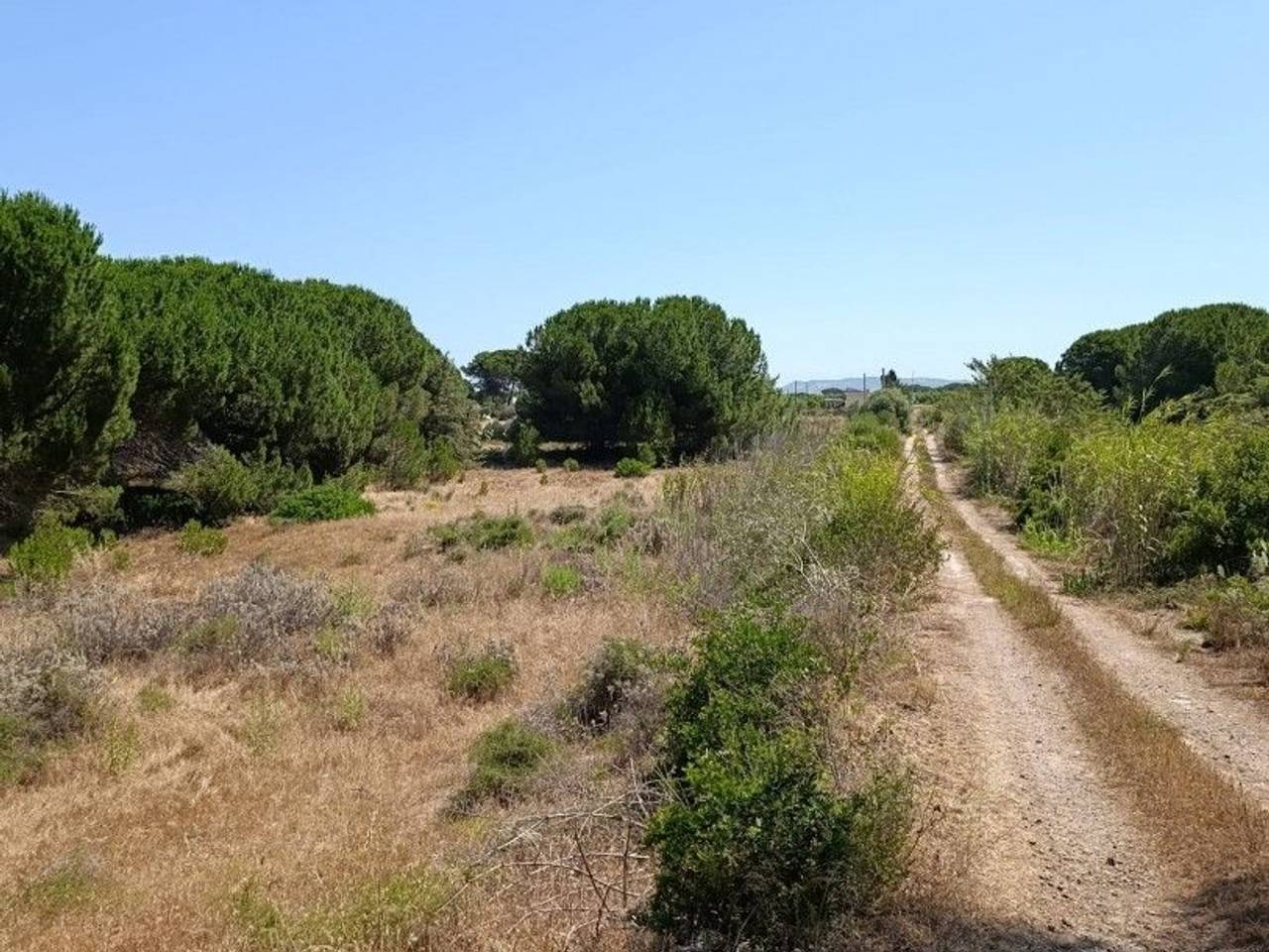 immagine annuncio 3 di 8