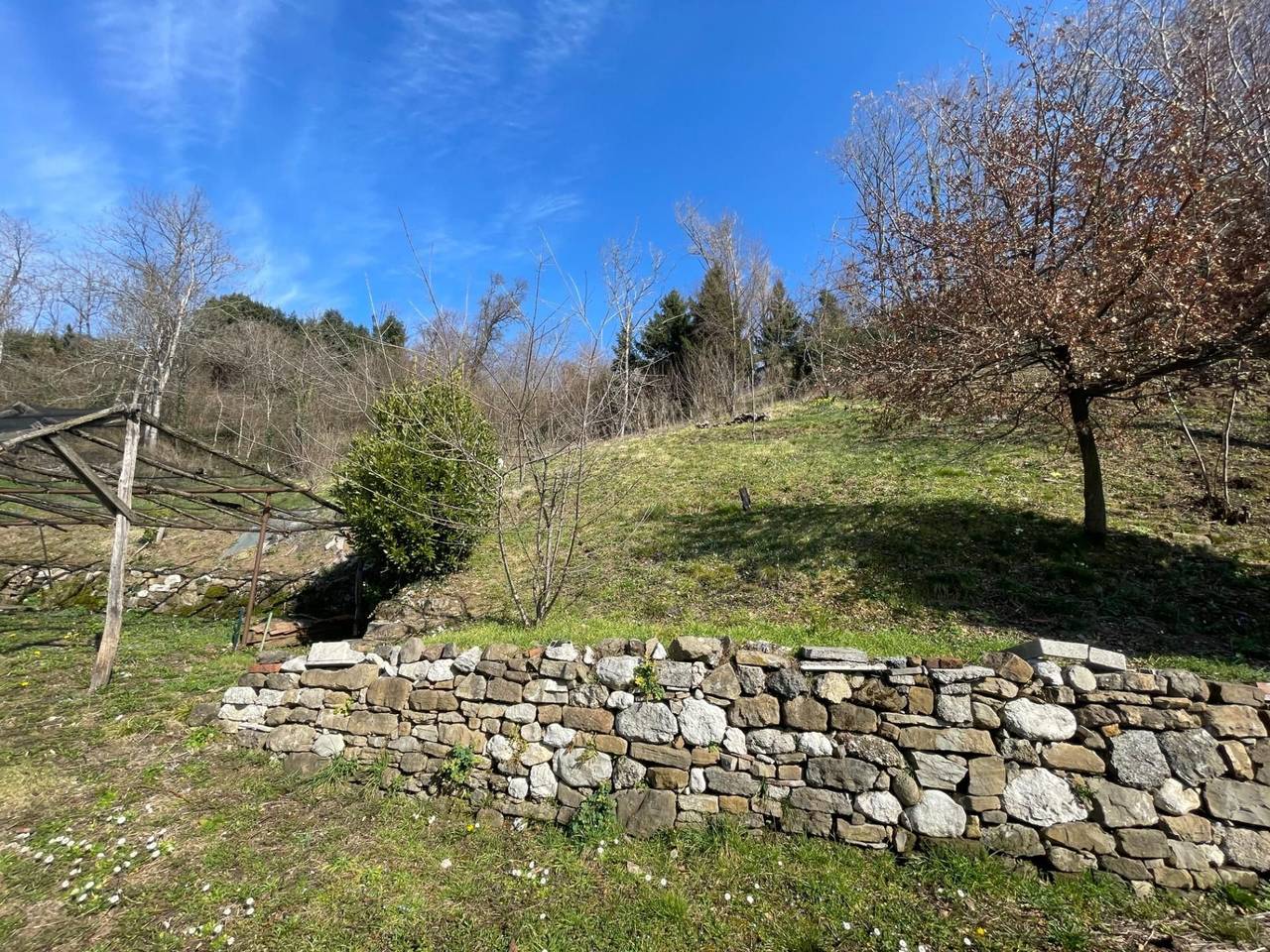 immagine annuncio 4 di 11