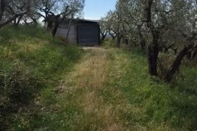 insertion image
