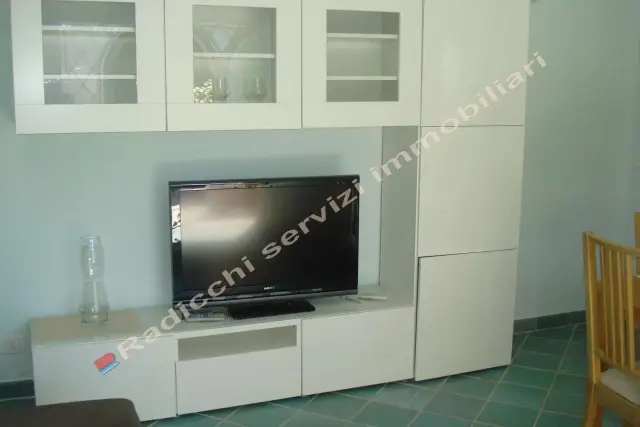 insertion image