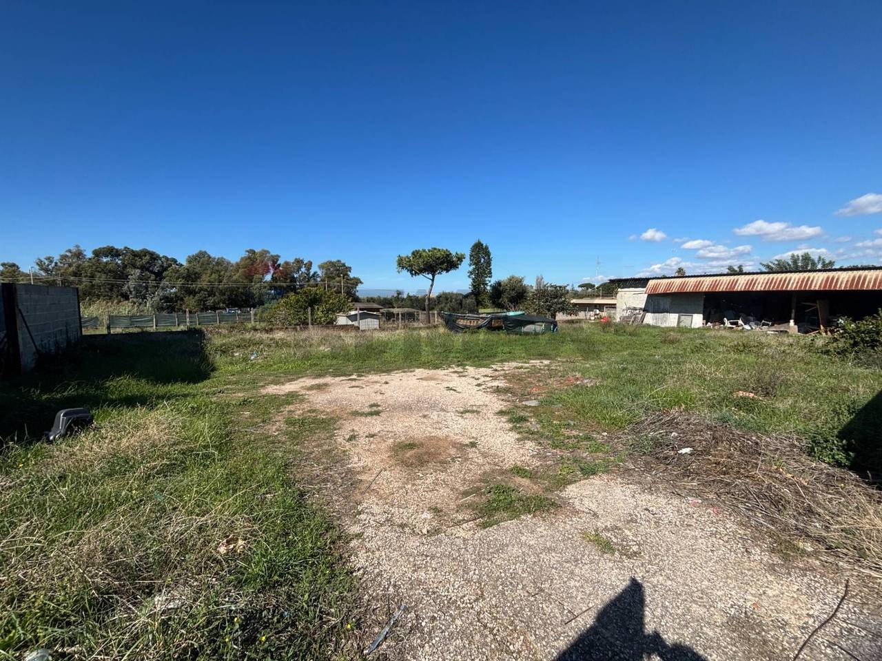 immagine annuncio 9 di 13