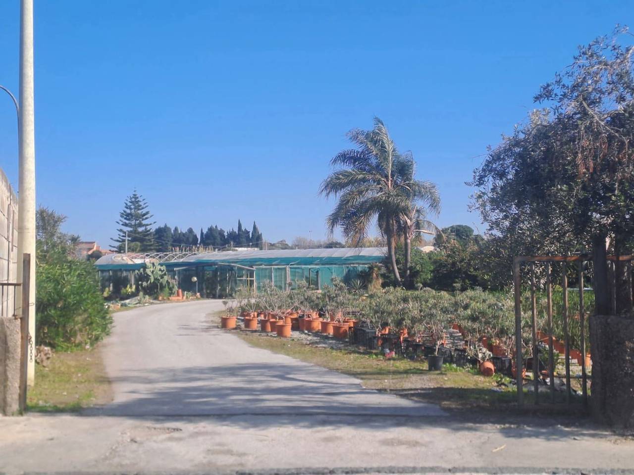 immagine annuncio 3 di 7