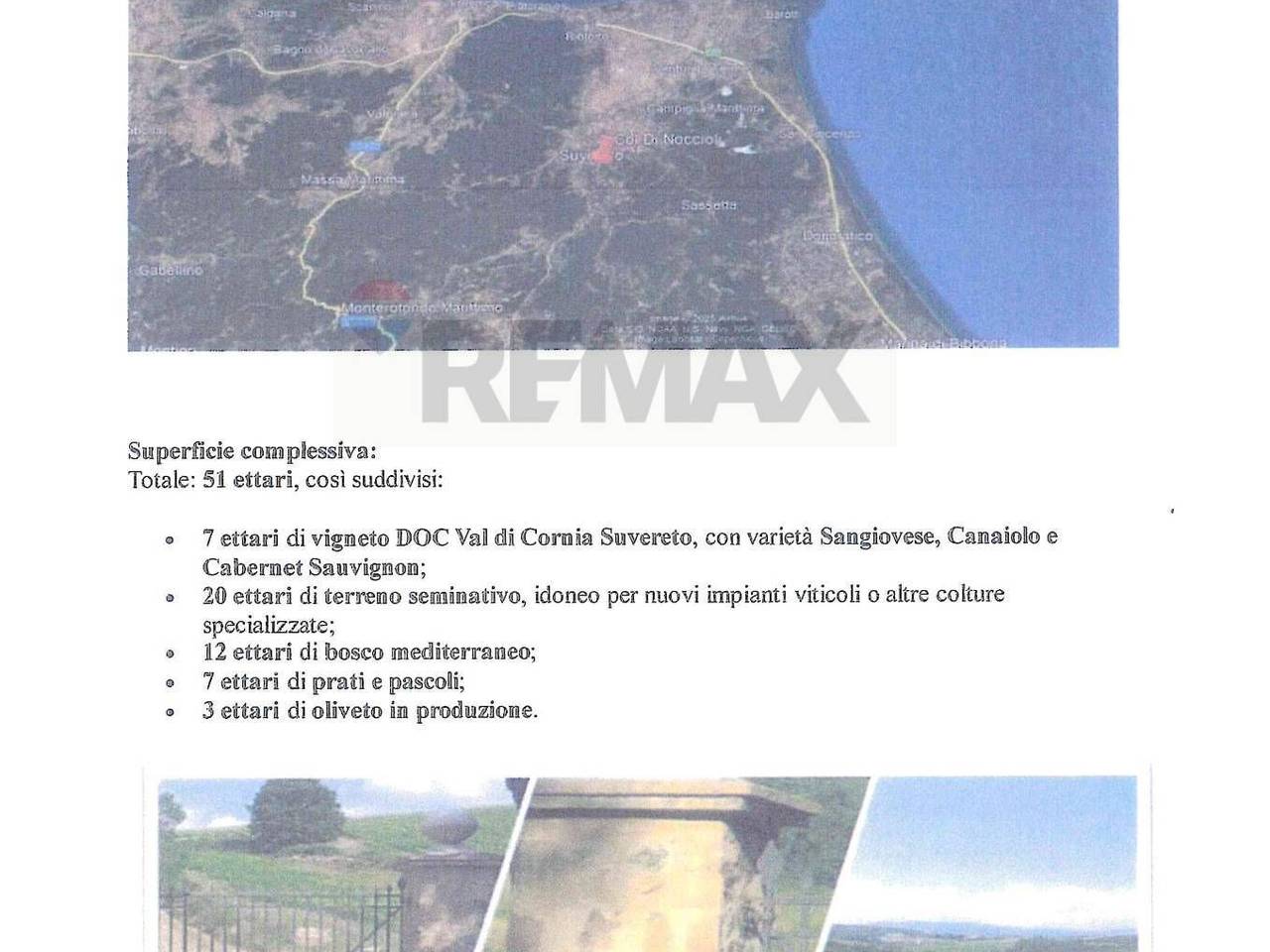 immagine annuncio 5 di 6