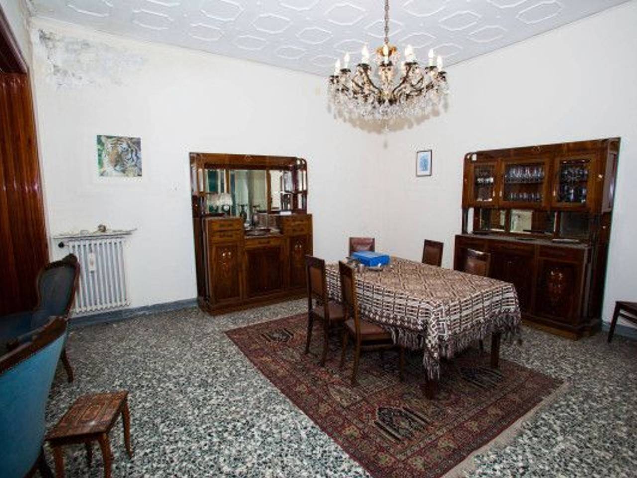 immagine annuncio 12 di 14