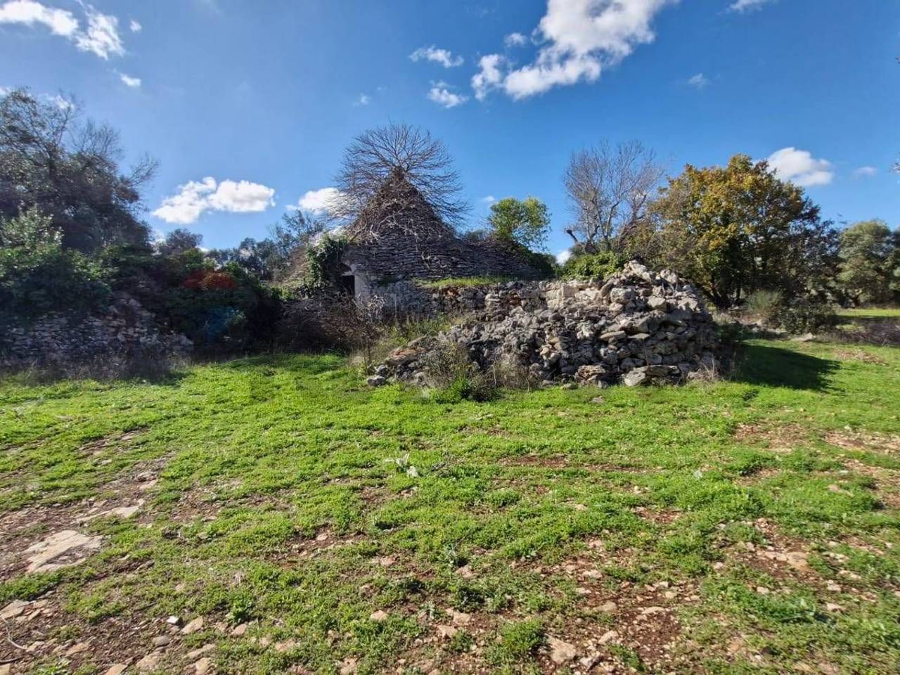 immagine annuncio 3 di 10