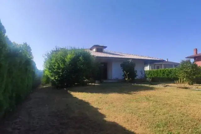 insertion image