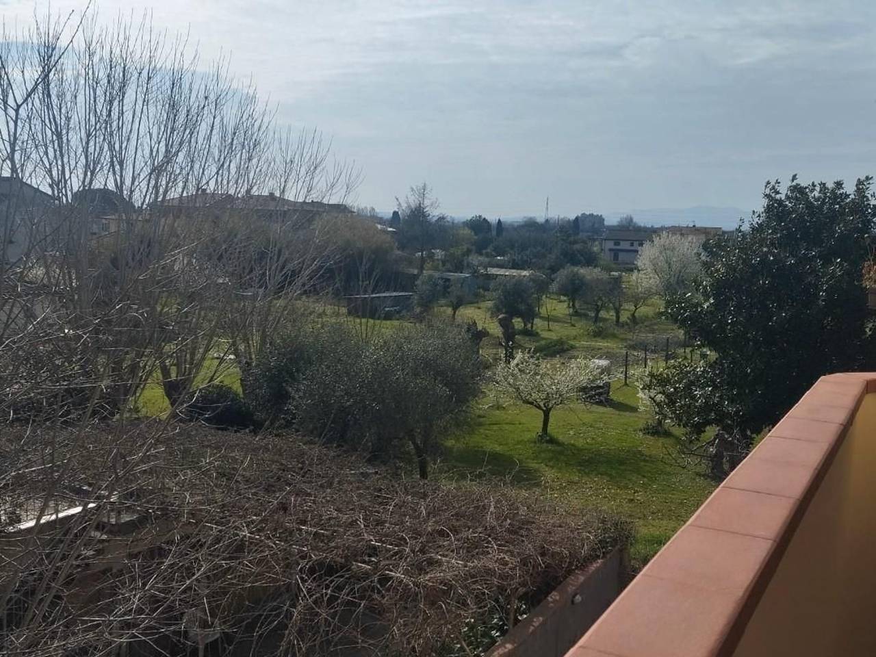 immagine annuncio 5 di 6