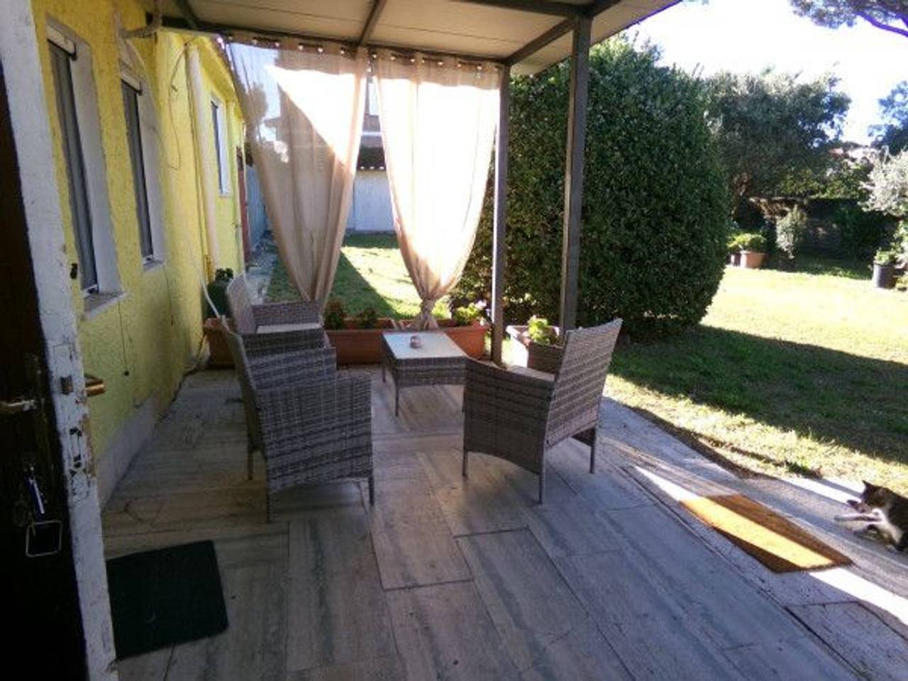 immagine annuncio 12 di 15