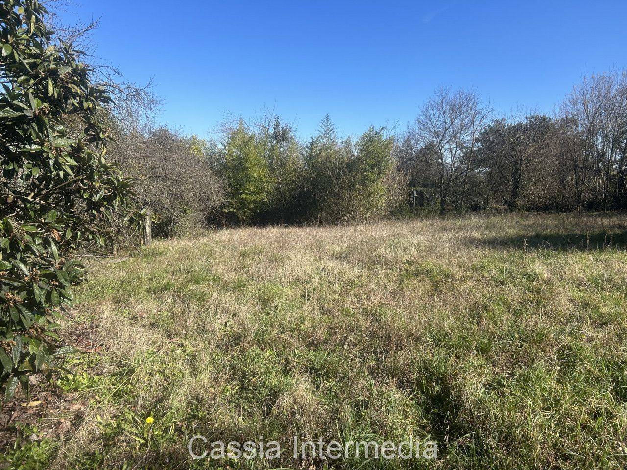 immagine annuncio 13 di 14