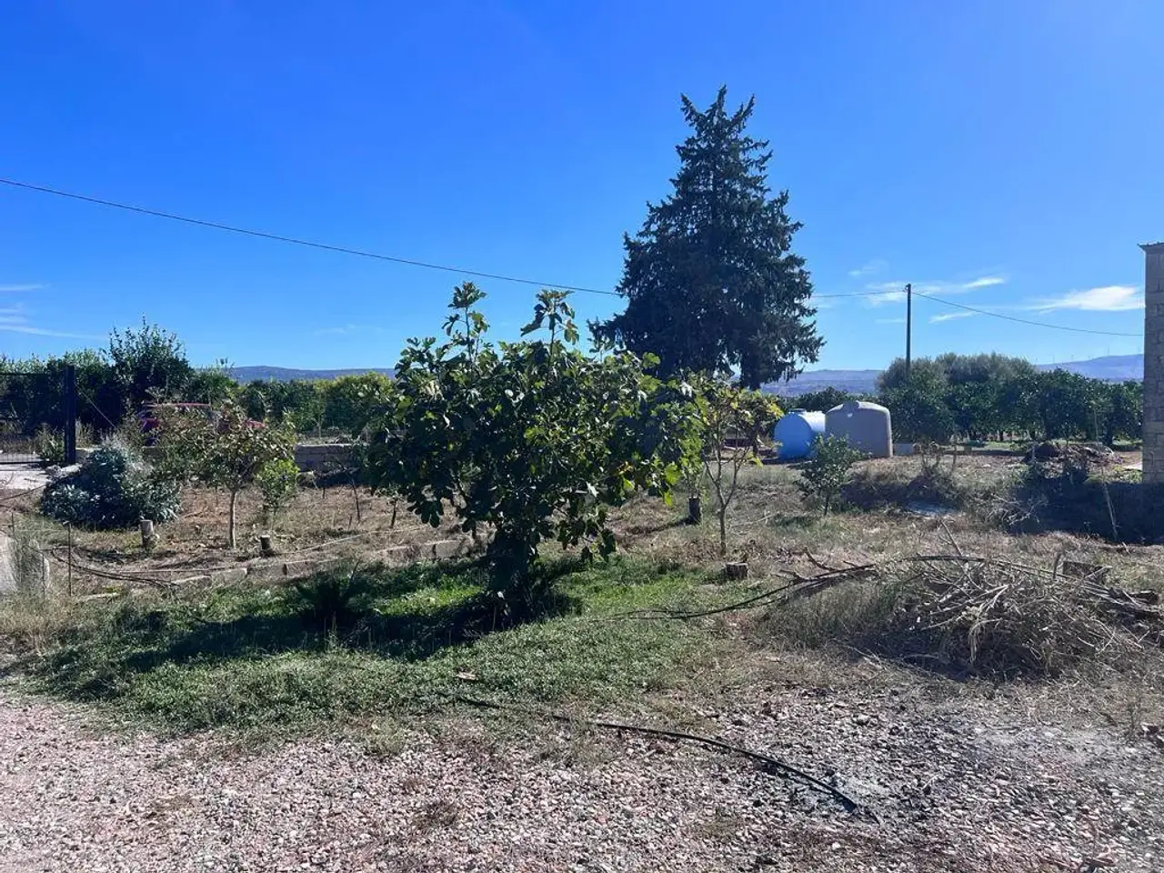 Azienda agricola in Contrada Vigna Prencipe, Francofonte, {3} - Foto 1