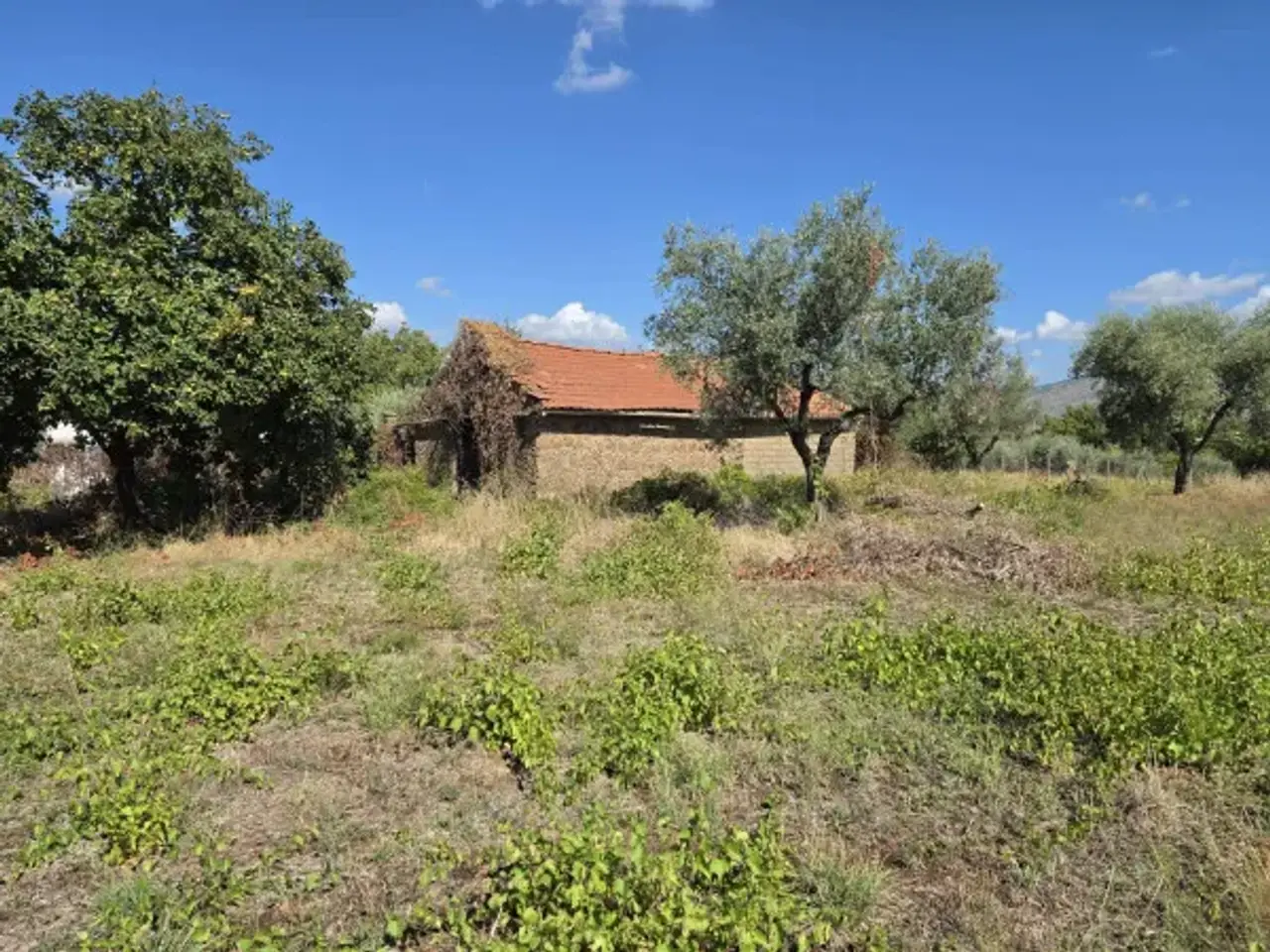 Magazzino in Via di Colle Selva, Gallicano Nel Lazio, {3} - Foto 1