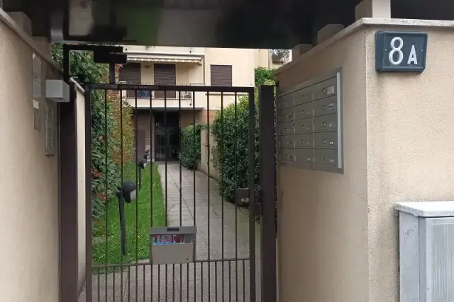 insertion image