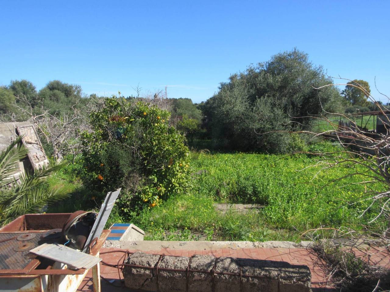 immagine annuncio 12 di 15