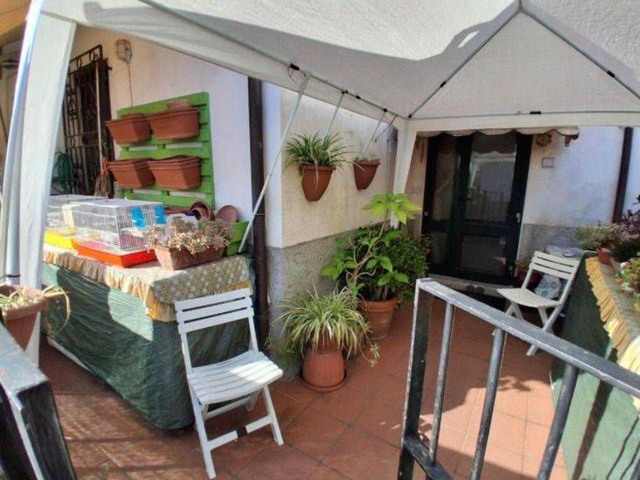 immagine annuncio 4 di 12