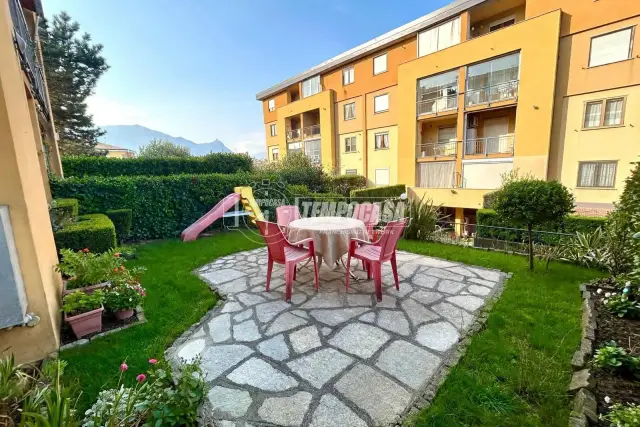 insertion image