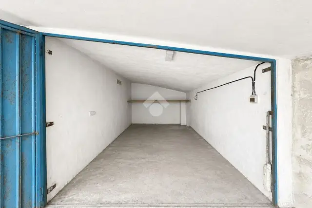 insertion image