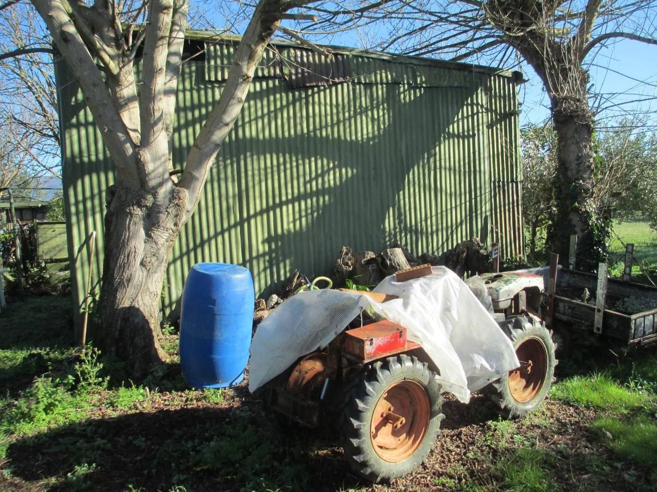 immagine annuncio 1 di 7