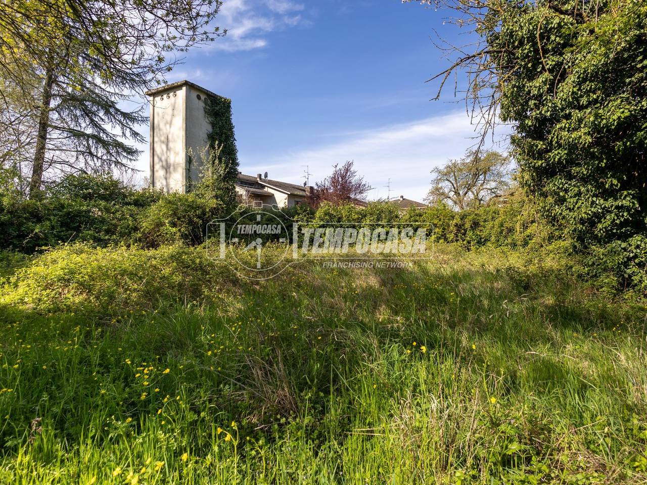 immagine annuncio 9 di 14