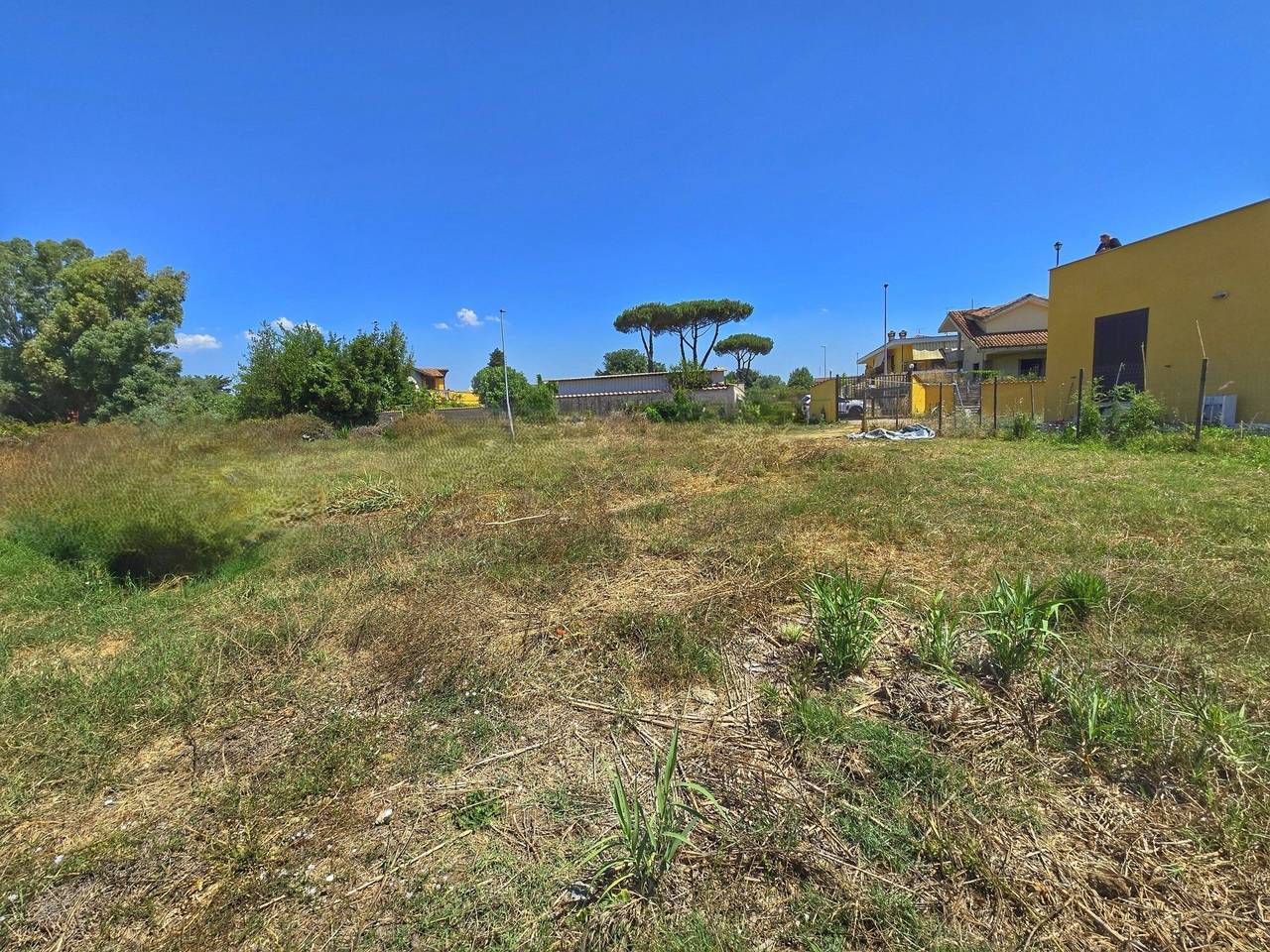 immagine annuncio 6 di 9