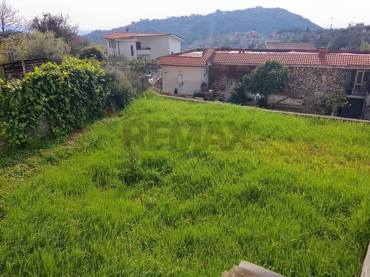 immagine annuncio 4 di 8