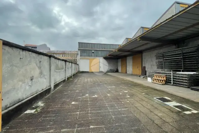 insertion image