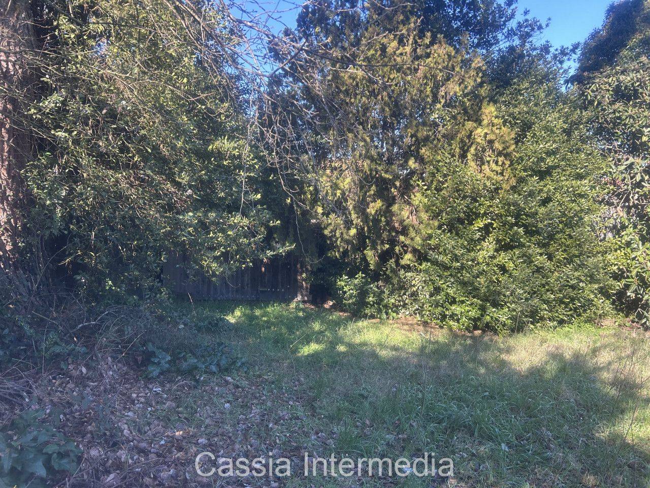 immagine annuncio 10 di 14