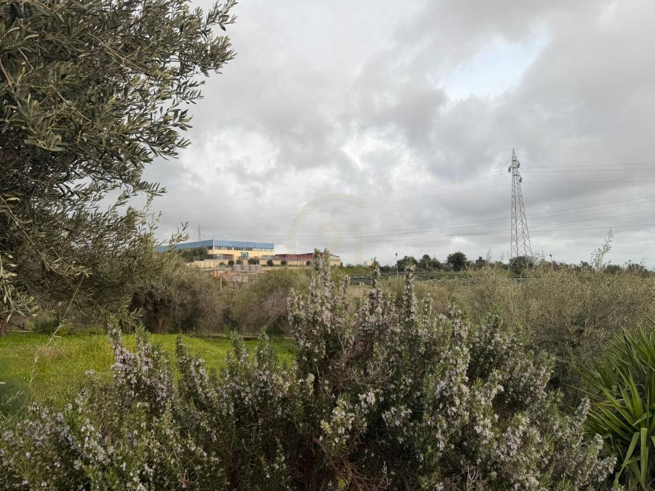 immagine annuncio 6 di 7