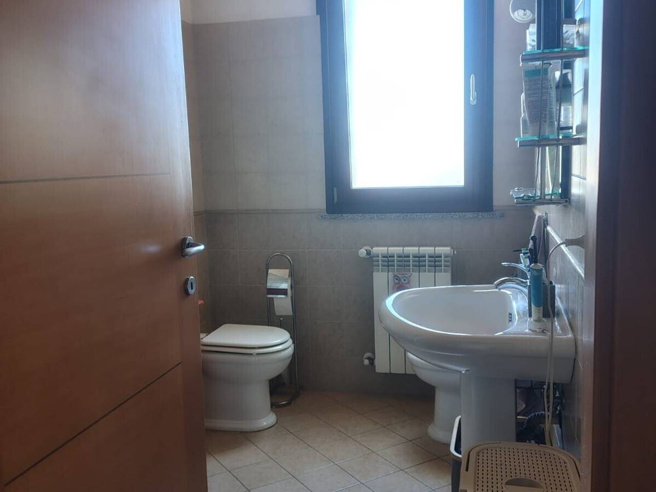 immagine annuncio 9 di 14