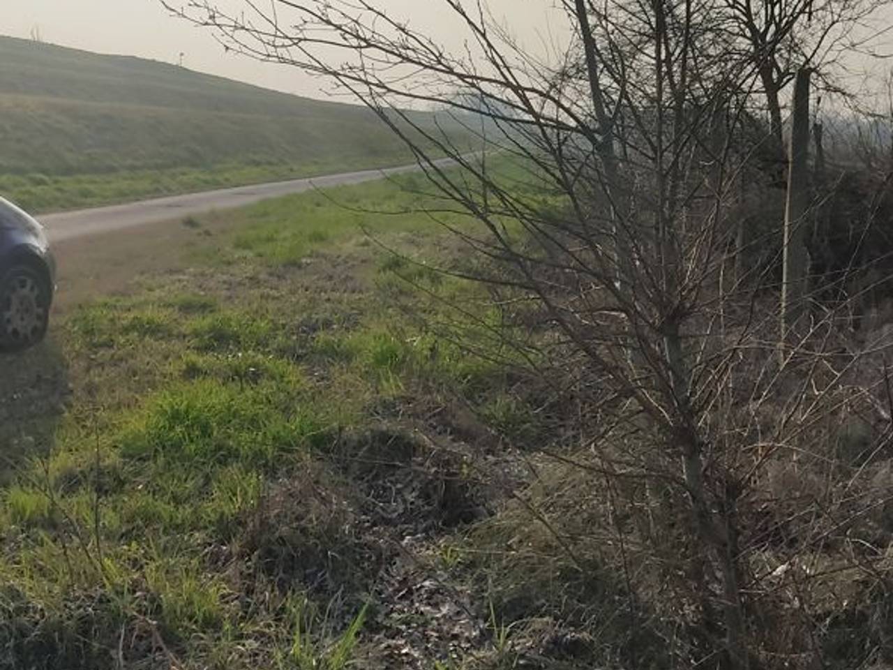 immagine annuncio 8 di 14