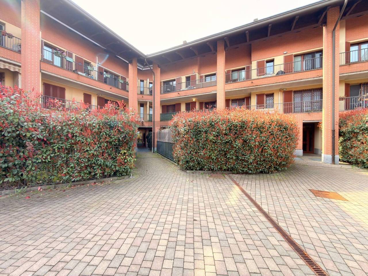 immagine annuncio 12 di 15