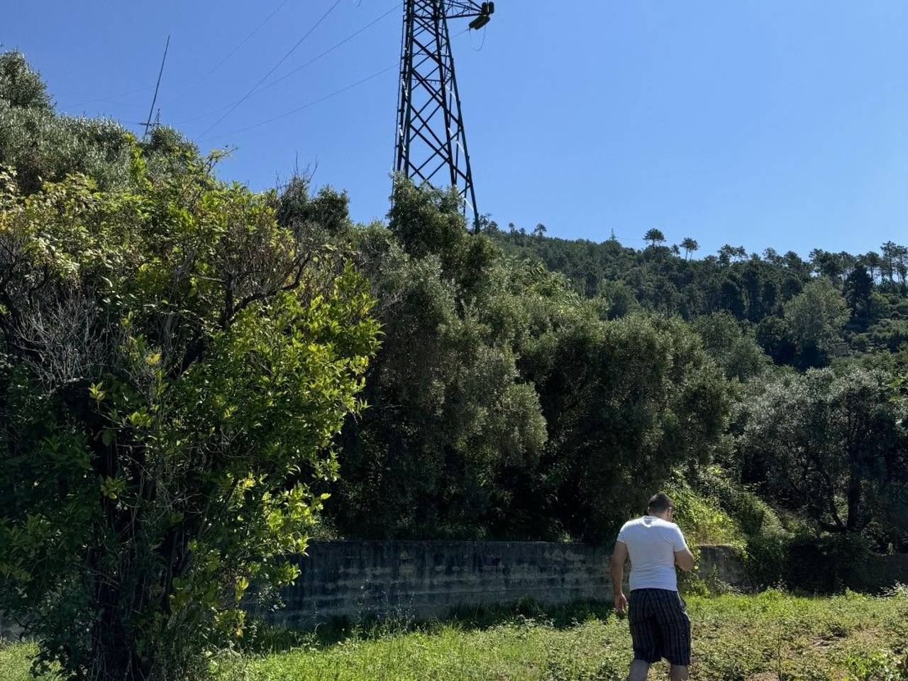 immagine annuncio 7 di 9