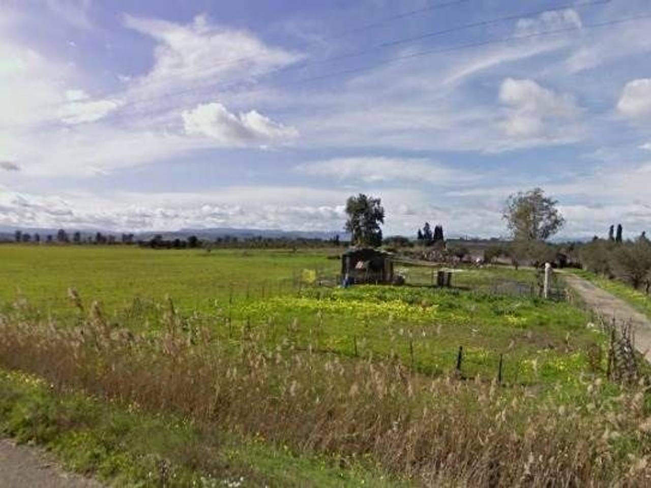 immagine annuncio 10 di 11