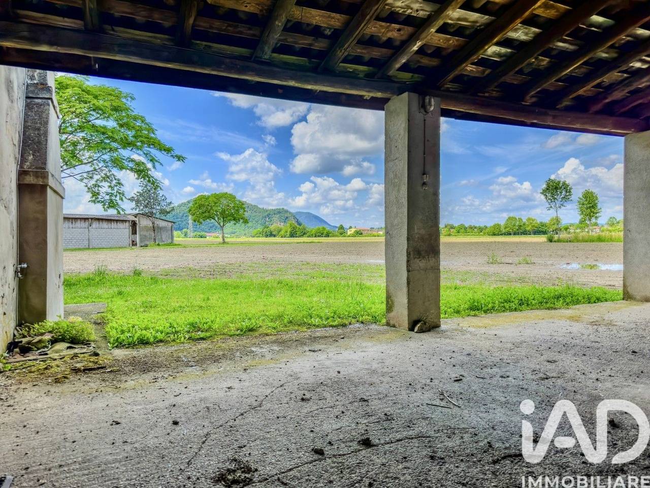 immagine annuncio 3 di 7