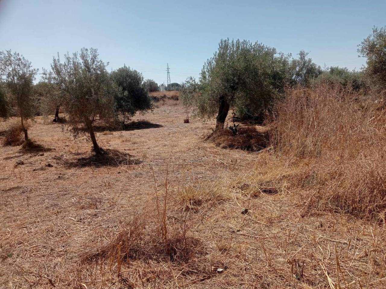 immagine annuncio 4 di 7