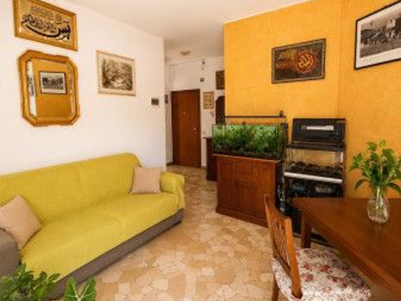 immagine annuncio 1 di 14