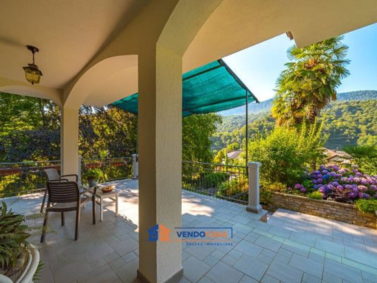 immagine annuncio 6 di 15