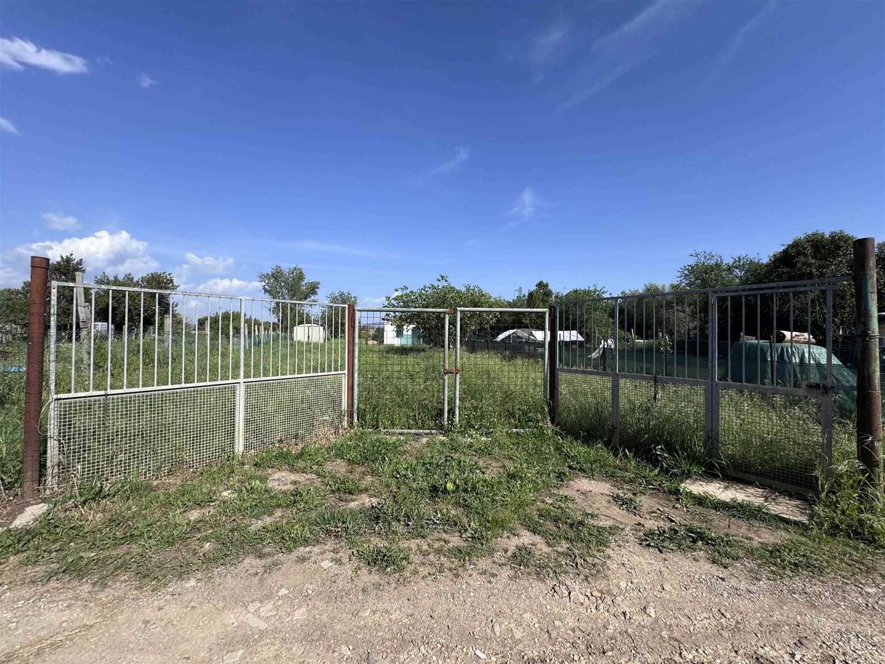 immagine annuncio 5 di 7