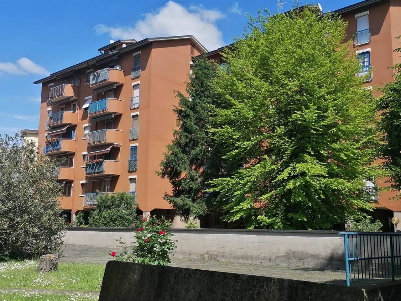 immagine annuncio 14 di 15