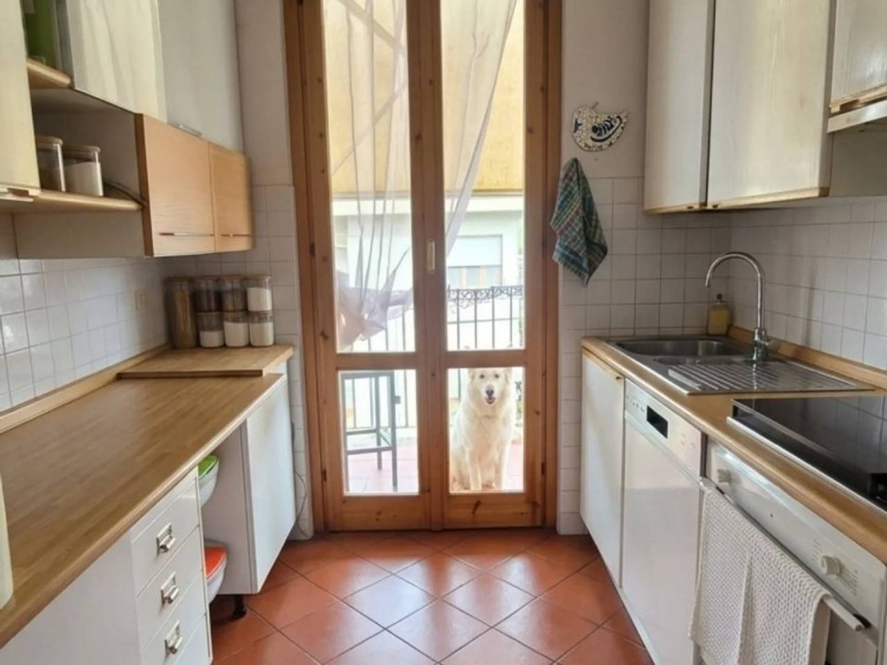 immagine annuncio 1 di 8