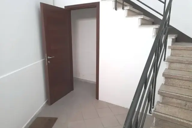 insertion image