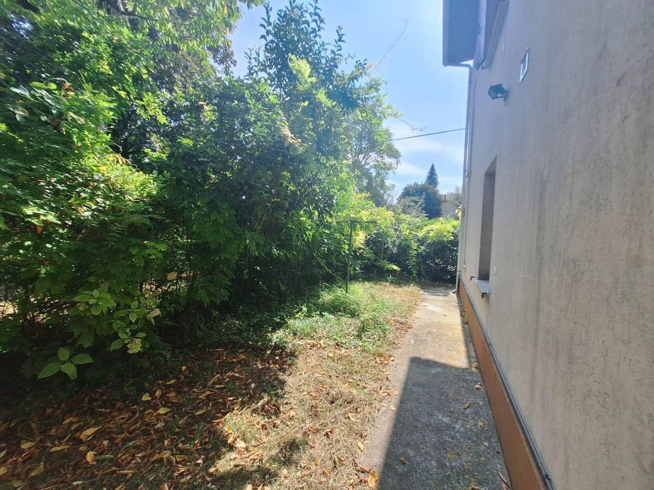 immagine annuncio 6 di 8