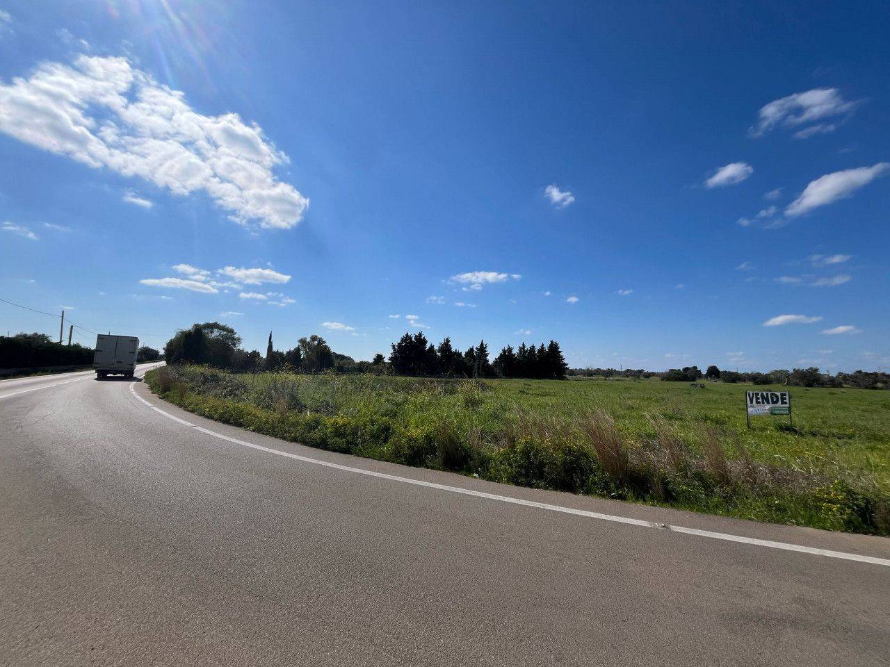 immagine annuncio 5 di 11