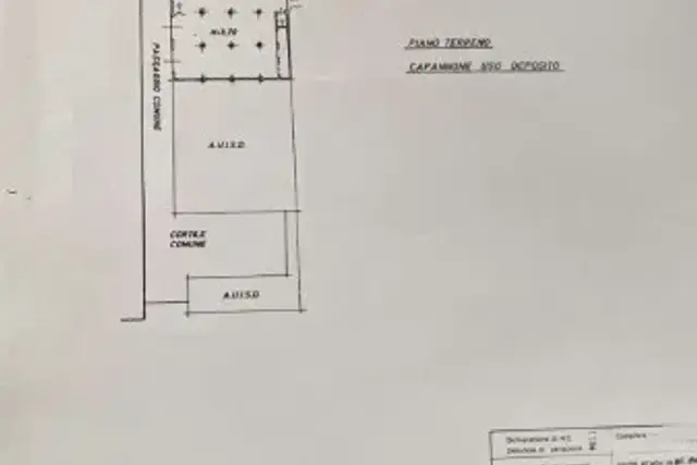 insertion image