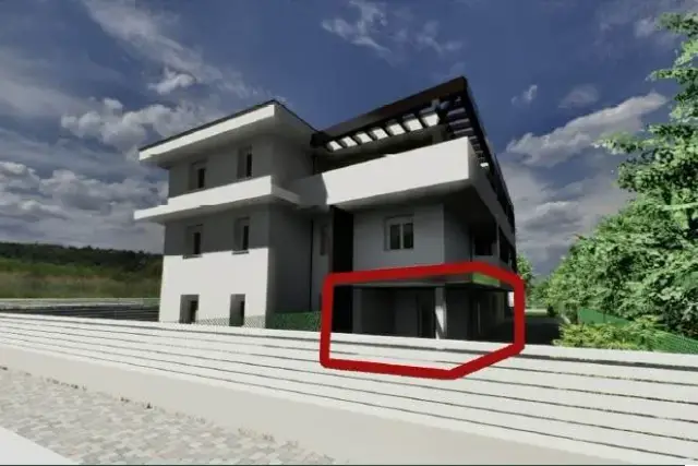 insertion image