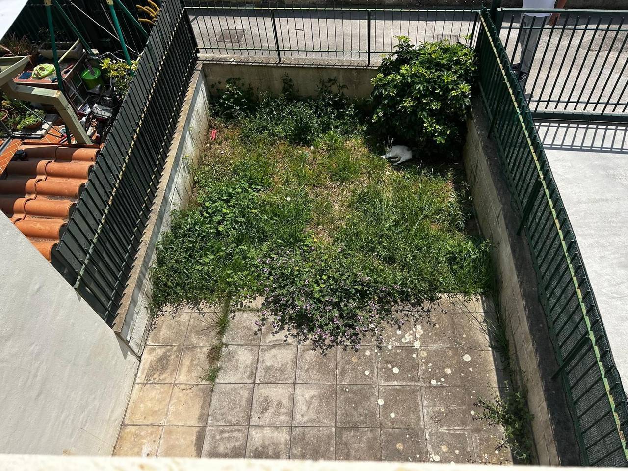 immagine annuncio 4 di 14