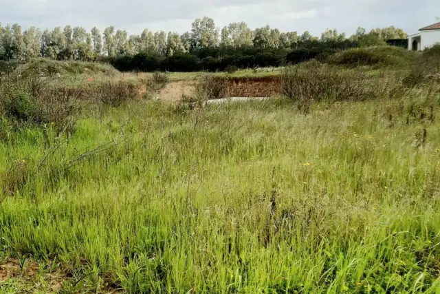 Terreno edificabile in Strada Vicinale Tanca Farrà, Alghero - Foto 1