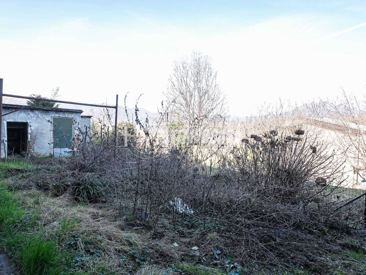 immagine annuncio 12 di 14